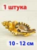 Ракушка Cymatium lotorium – Чёрнопятнистый тритон - 1 шт. Ракушка Cymatium lotorium – Чёрнопятнистый тритон - 1 шт.