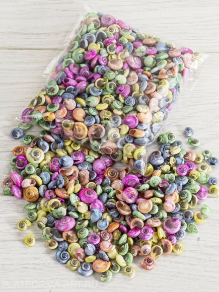 Ракушки для рукоделия Umbonium Pearl цветные - 100 гр.