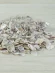Ракушки для рукоделия Donax Faba - Донакс Фаба - 100 гр.
