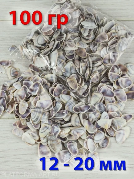 Ракушки для рукоделия Donax Faba - Донакс Фаба - 100 гр.