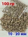 Ракушка Узколистная литорария Littoraria angulifera - 100 гр.