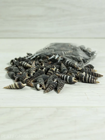 Ракушки для рукоделия Батиллария Зоналис Batillaria zonalis - 100 гр. Ракушки для рукоделия Батиллария Зоналис Batillaria zonalis - 100 гр.