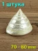 Ракушка Тектус пурамис - Trochus Tectus Pyramis - 1 шт. Ракушка Тектус пурамис - Trochus Tectus Pyramis - 1 шт.