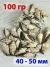 Ракушки для рукоделия и творчества - 100 гр.