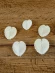 Ракушка Кордилум Кардисса - Corculum cardissa - 5 шт.
