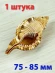 Ракушка Cymatium Pileare – Волосатый тритон 1 шт.