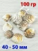 Морские ракушки Пектина Плика (Pecten plicatus) - 100 гр.