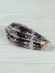 Ракушка для аквариума Конус Стриатус - Conus striatus - 1 шт.