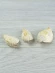 Ракушка Стромбус епидромис - Labiostrombus epidromis - 3 шт. Ракушка Стромбус епидромис - Labiostrombus epidromis - 3 шт.