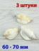 Ракушка Стромбус епидромис - Labiostrombus epidromis - 3 шт. Ракушка Стромбус епидромис - Labiostrombus epidromis - 3 шт.