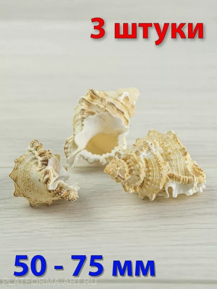 Ракушки для рукоделия Тутуфа Оямы - 3 шт.
