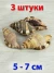 Ракушка Cymatium Pileare – Волосатый тритон 3 шт.