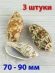 Морские ракушки Волюта веспертилио Cymbiola vespertilio - 3 шт. Морские ракушки Волюта веспертилио Cymbiola vespertilio - 3 шт.
