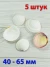 Морские ракушки Кодакия Тигерина - 5 шт.