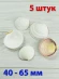Морские ракушки Кодакия Тигерина - 5 шт. Морские ракушки Кодакия Тигерина - 5 шт.