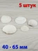 Морские ракушки Кодакия Тигерина - 5 шт. Морские ракушки Кодакия Тигерина - 5 шт.