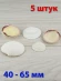 Морские ракушки Кодакия Тигерина - 5 шт. Морские ракушки Кодакия Тигерина - 5 шт.