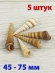 Морские ракушки Турителла Теребра Turritella terebra - 5 шт. Морские ракушки Турителла Теребра Turritella terebra - 5 шт.
