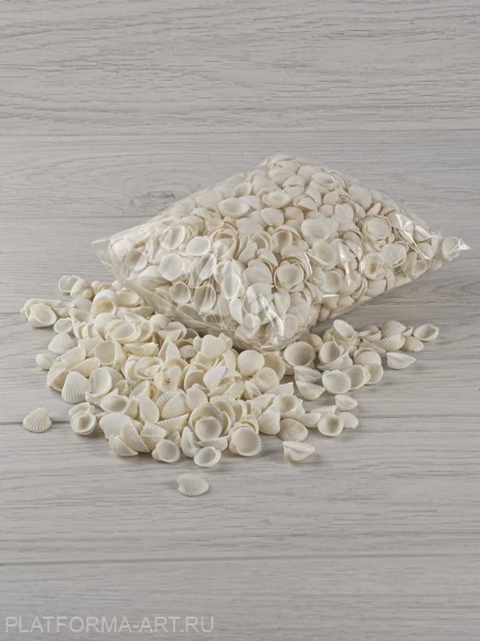 Ракушки Клам роза МАЛАЯ - Clam Rose - 500 гр.