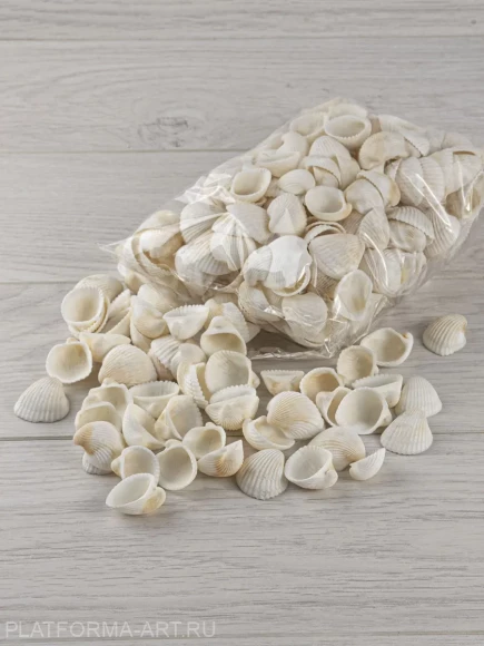 Ракушки Клам роза БОЛЬШАЯ - Clam Rose - 500 гр. Ракушки Клам роза БОЛЬШАЯ - Clam Rose - 500 гр.