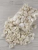 Ракушки Клам роза БОЛЬШАЯ - Clam Rose - 500 гр. Ракушки Клам роза БОЛЬШАЯ - Clam Rose - 500 гр.
