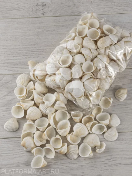 Ракушки Клам роза БОЛЬШАЯ - Clam Rose - 500 гр. Ракушки Клам роза БОЛЬШАЯ - Clam Rose - 500 гр.