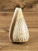 Ракушка Берёзовый конус - Conus betulinus - 1 шт.