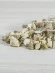 Ракушки для рукоделия Тектус Фенестратус - 100 гр.